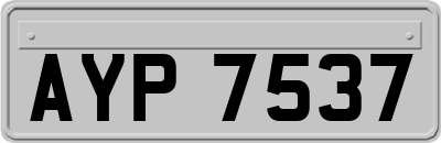 AYP7537