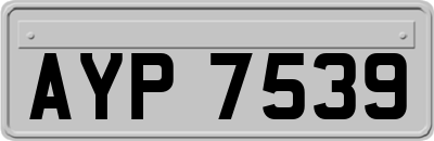 AYP7539
