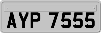 AYP7555