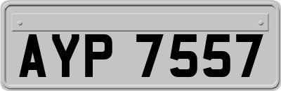 AYP7557