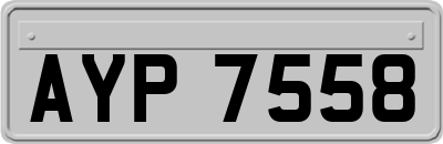 AYP7558