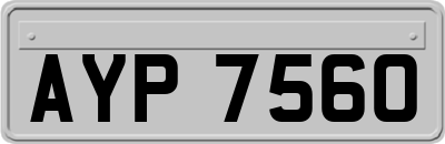 AYP7560