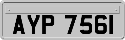 AYP7561