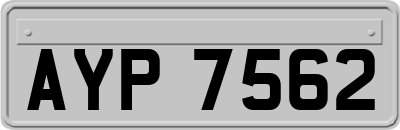 AYP7562