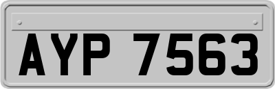 AYP7563