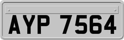 AYP7564