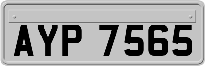 AYP7565