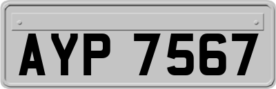 AYP7567