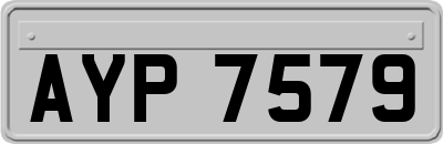 AYP7579