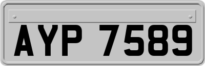 AYP7589