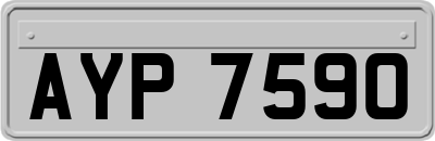 AYP7590