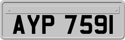 AYP7591