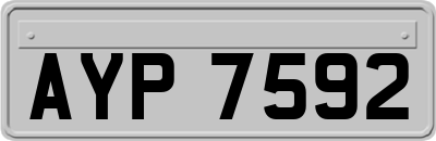 AYP7592