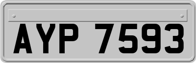 AYP7593