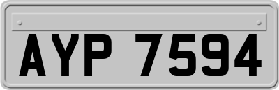AYP7594