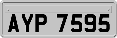AYP7595