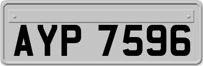 AYP7596