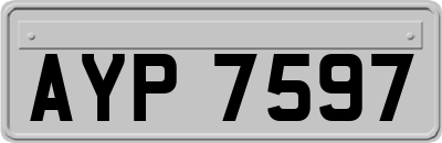 AYP7597