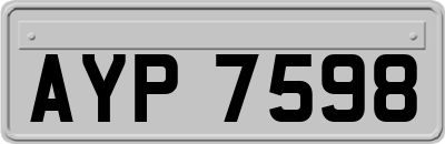 AYP7598