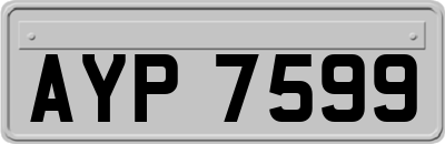 AYP7599