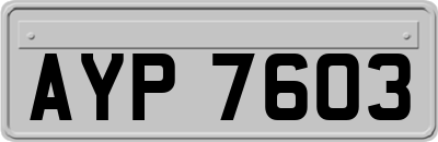 AYP7603