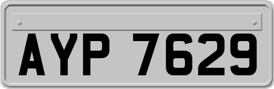 AYP7629