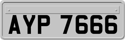 AYP7666