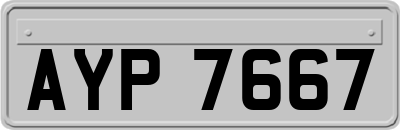 AYP7667