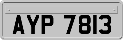 AYP7813