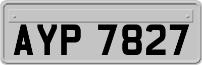 AYP7827