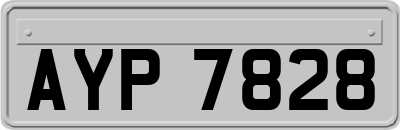 AYP7828