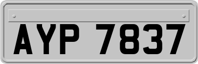 AYP7837