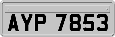 AYP7853
