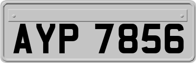 AYP7856