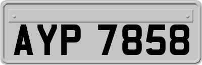 AYP7858