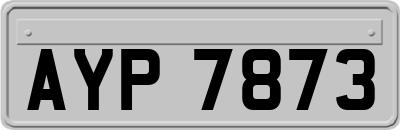 AYP7873