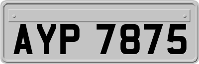 AYP7875