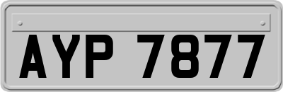 AYP7877