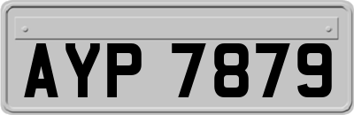 AYP7879