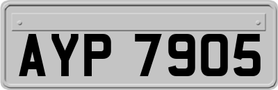 AYP7905