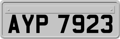 AYP7923