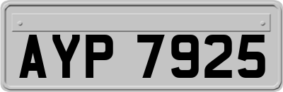 AYP7925