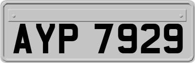 AYP7929