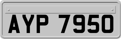 AYP7950