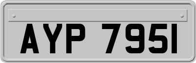 AYP7951