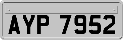 AYP7952