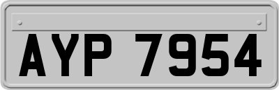 AYP7954