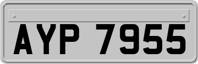 AYP7955