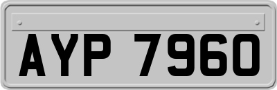 AYP7960