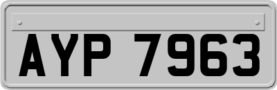 AYP7963